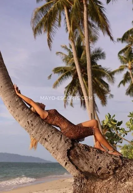 Mayo escorts Sara — 9