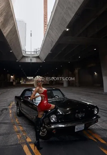 Mayo escorts Alicia — 1